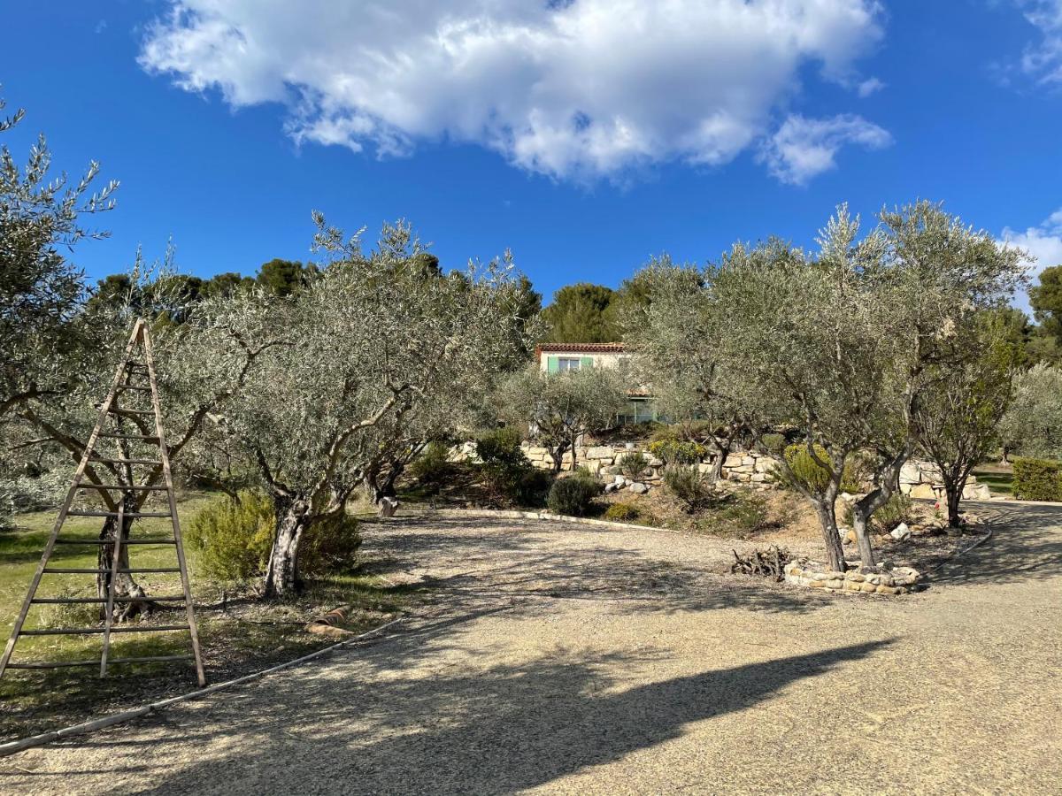 Gite La Maison Dans L'Olivette Oraison Zewnętrze zdjęcie