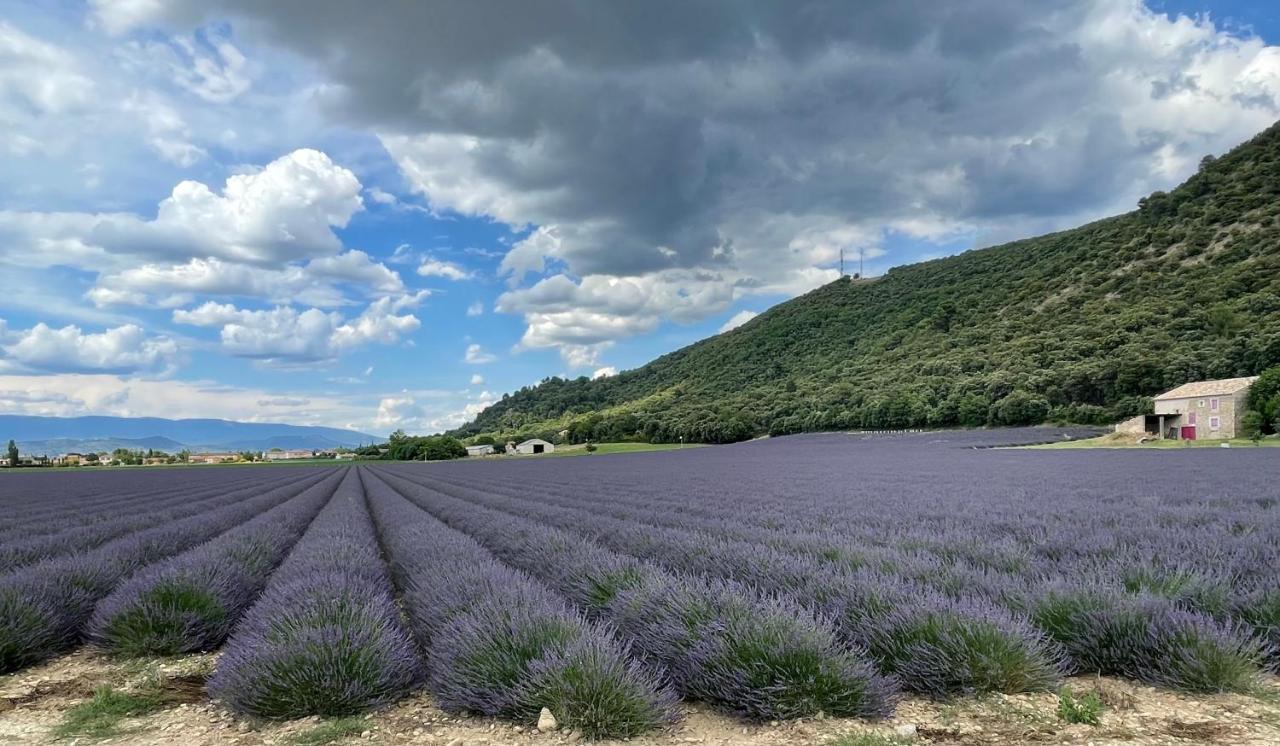 Gite La Maison Dans L'Olivette Oraison Zewnętrze zdjęcie