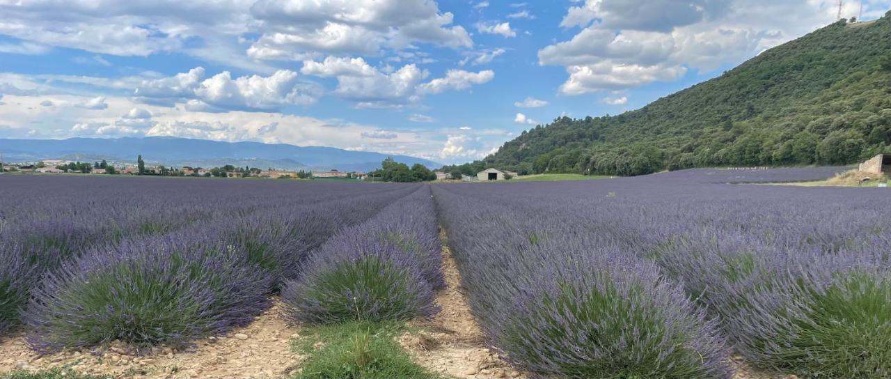 Gite La Maison Dans L'Olivette Oraison Zewnętrze zdjęcie